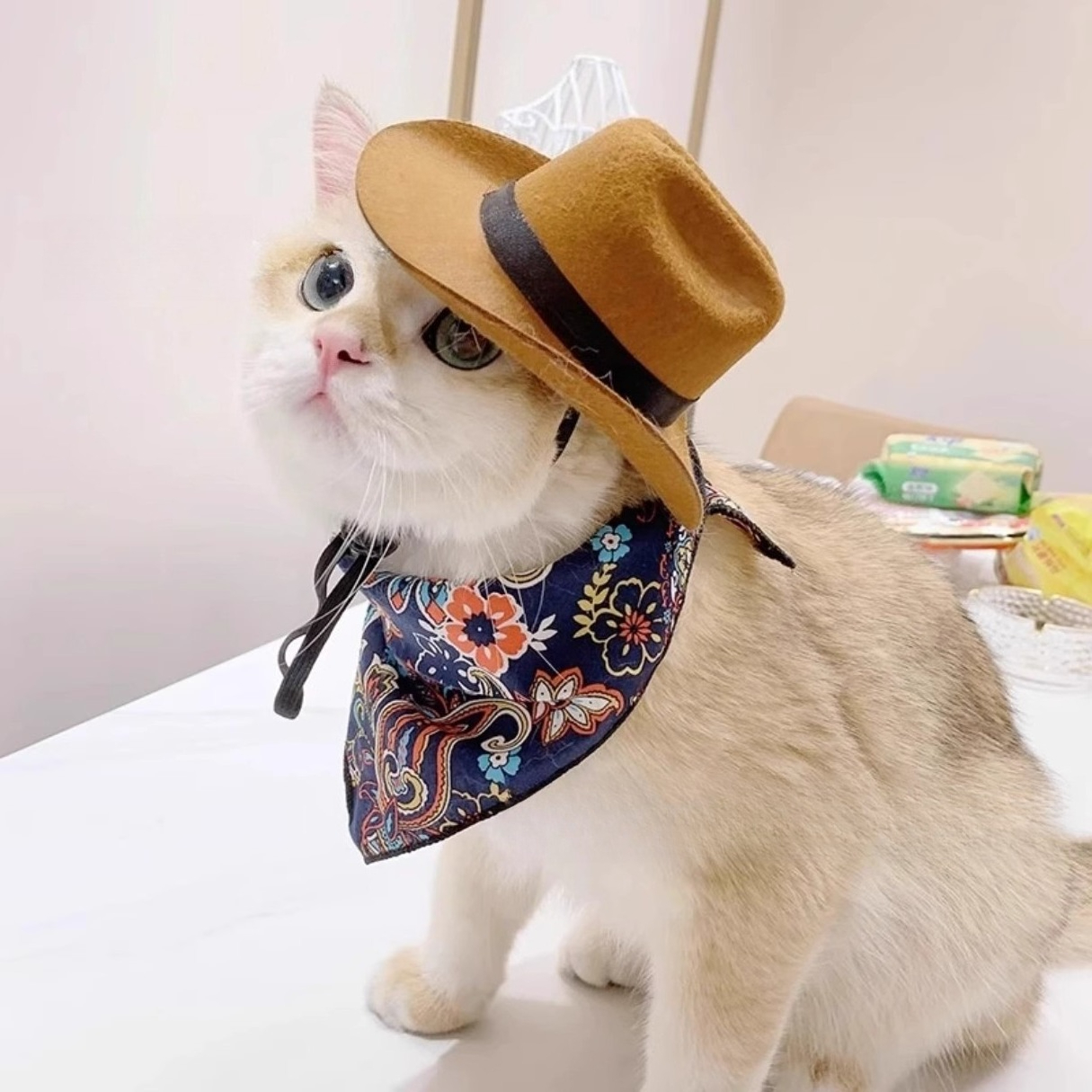  Cat Cowboy Hat Pet Head Acce - đánh giá và giá Cowboy Hat Straw